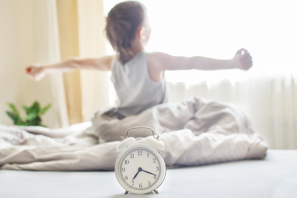 Key Features of Prima Alarm